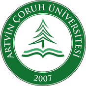 13 logosu