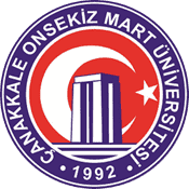 17 logosu