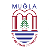 17 logosu