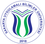 13 logosu